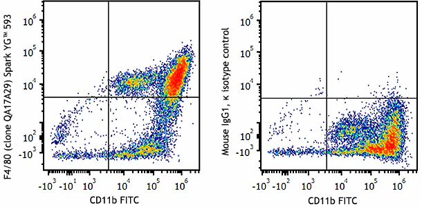 Spark YG™ 593 anti-mouse F4/80 Recombinant