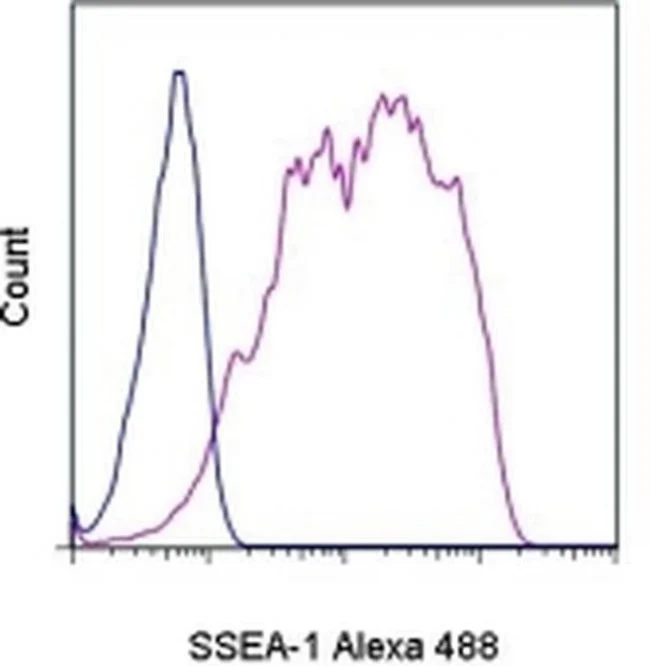 SSEA1 Monoclonal Antibody (eBioMC-480 (MC-480)), Alexa Fluor 488, eBioscience