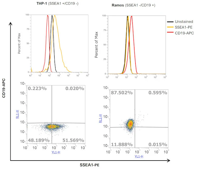 SSEA1 Monoclonal Antibody (eBioMC-480 (MC-480)), PE, eBioscience