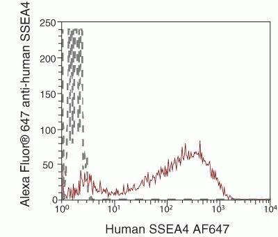 SSEA4 Monoclonal Antibody (MC-813-70), Alexa Fluor 647