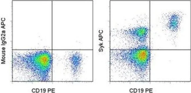 Syk Monoclonal Antibody (4D10.1), APC, eBioscience