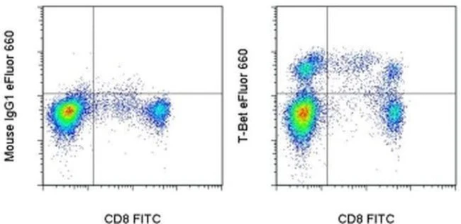 T-bet Monoclonal Antibody (eBio4B10 (4B10)), eFluor 660, eBioscience