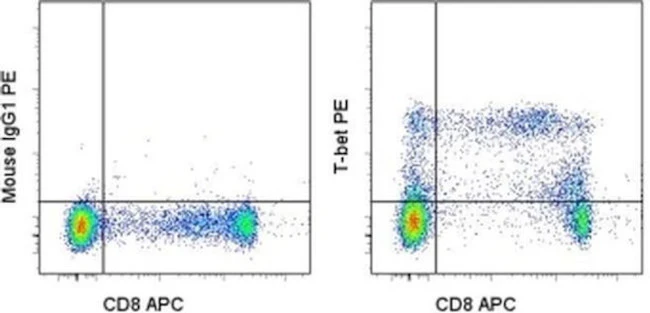 T-bet Monoclonal Antibody (eBio4B10 (4B10)), PE, eBioscience