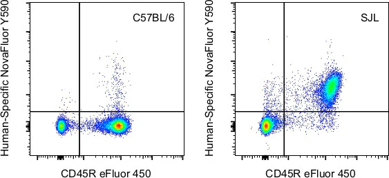 TCR alpha/beta Monoclonal Antibody (IP26), NovaFluor Yellow 590, eBioscience
