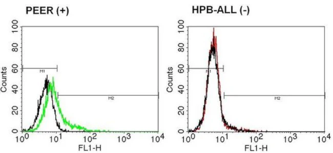 TCR delta Monoclonal Antibody (TS-1)