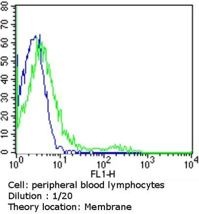 TCR V alpha 12.1 Monoclonal Antibody (6D6.6), FITC