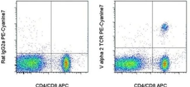 TCR V alpha 2 Monoclonal Antibody (B20.1), PE-Cyanine7, eBioscience