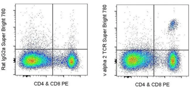 TCR V alpha 2 Monoclonal Antibody (B20.1), Super Bright™ 780