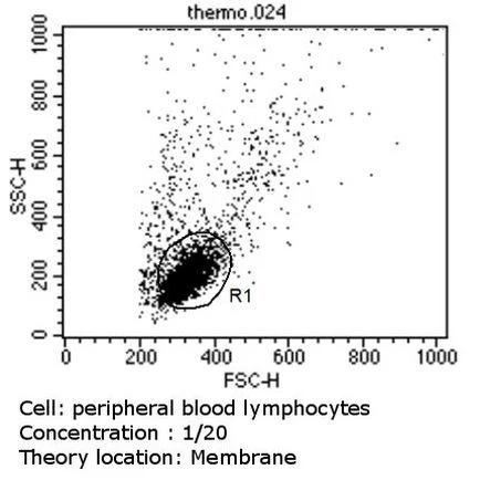 TCR V beta 5a Monoclonal Antibody (1C1), FITC