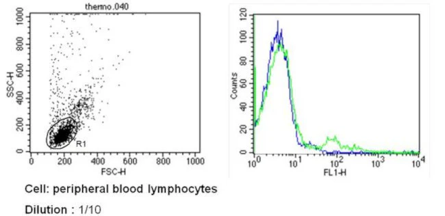 TCR V beta 8b Monoclonal Antibody (MX-6), FITC