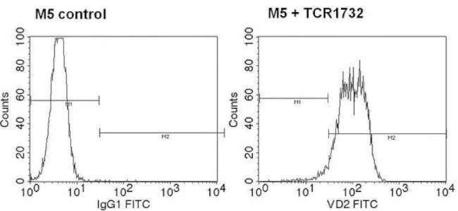 TCR V delta 2 Monoclonal Antibody (15D)