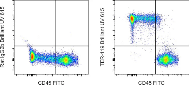 TER-119 Monoclonal Antibody (TER-119), Brilliant Ultra Violet 615, eBioscience