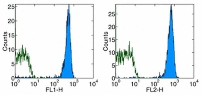 TER-119 Monoclonal Antibody (TER-119), FITC, eBioscience