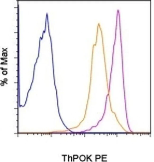 ThPOK Monoclonal Antibody (2POK), PE, eBioscience