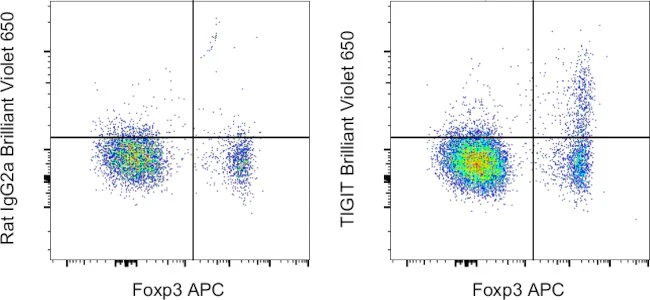 TIGIT Monoclonal Antibody (GIGD7), Brilliant Violet™ 650