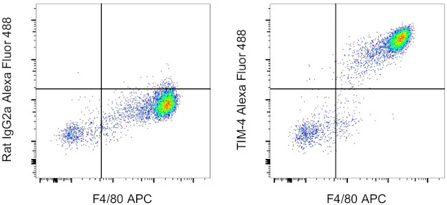 TIM-4 Monoclonal Antibody (54 (RMT4-54)), Alexa Fluor 488, eBioscience
