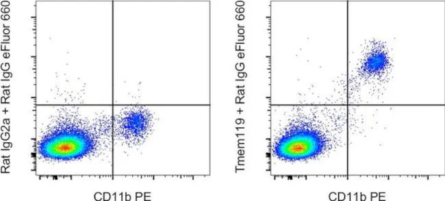 Tmem119 Monoclonal Antibody (V3RT1GOsz), eBioscience
