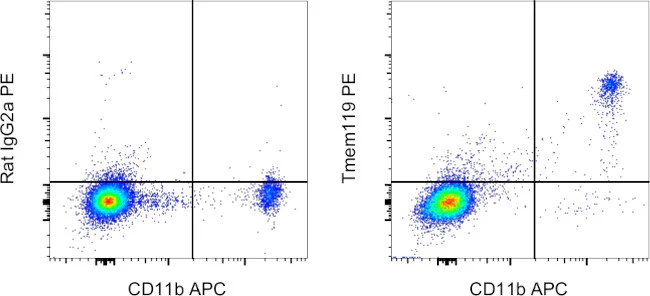 Tmem119 Monoclonal Antibody (V3RT1GOsz), PE, eBioscience