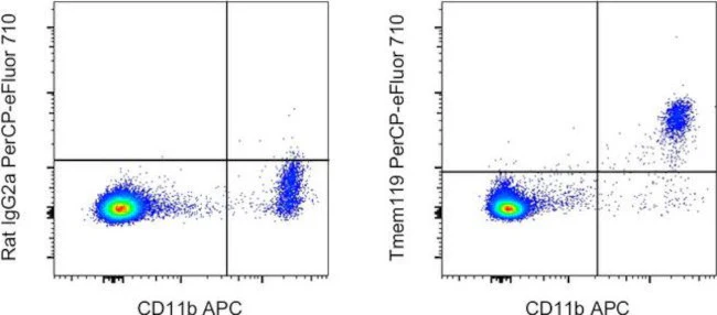 Tmem119 Monoclonal Antibody (V3RT1GOsz), PerCP-eFluor 710, eBioscience