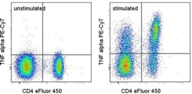 TNF alpha Monoclonal Antibody (MP6-XT22), PE-Cyanine7, eBioscience