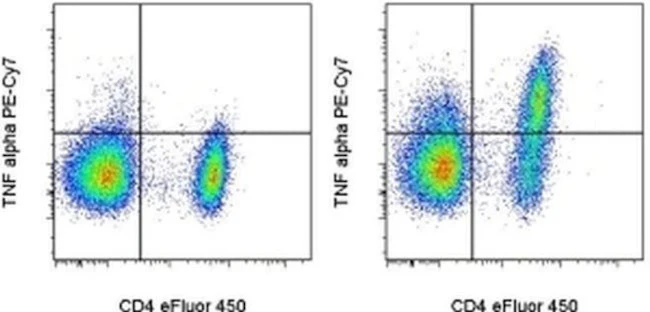 TNF alpha Monoclonal Antibody (TN3-19.12), PE-Cyanine7, eBioscience
