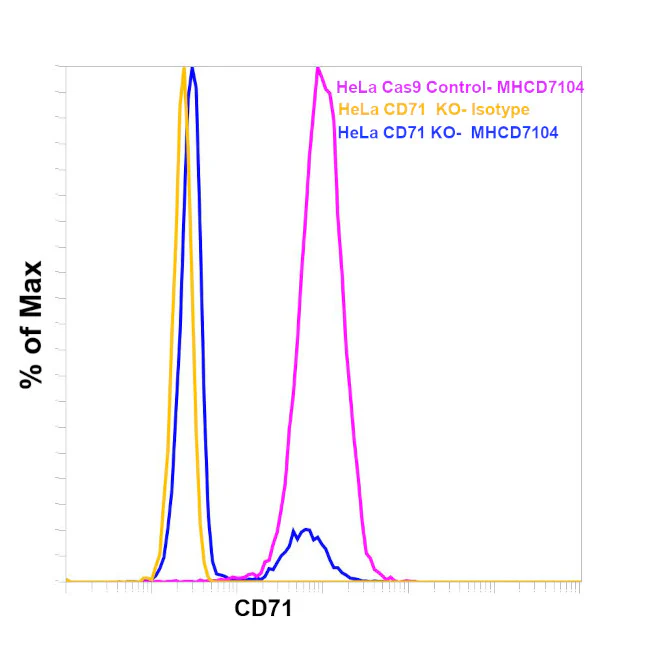 Transferrin Receptor Monoclonal Antibody (T56/14), PE