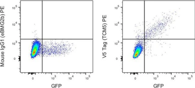 V5 Tag Monoclonal Antibody (TCM5), PE, eBioscience