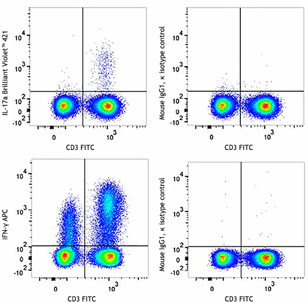 Veri-Cells™ Activated (Cytokine) PBMC - Image 2