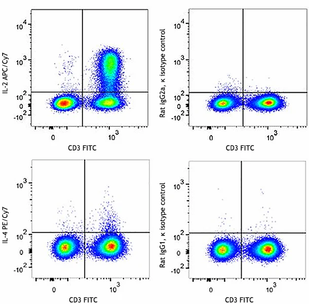 Veri-Cells™ Activated (Cytokine) PBMC - Image 3