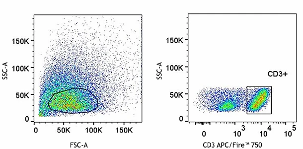 Veri-Cells™ Activated (Surface) PBMC - Image 4