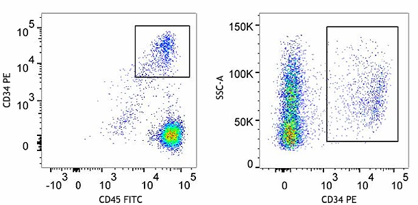 Veri-Cells™ CD34 PBMC