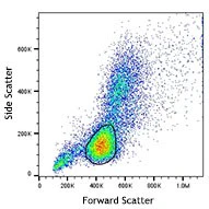 Veri-Cells™ CD4-Low PBMC