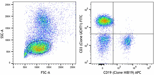 Veri-Cells™ Heavy Metal (Ta) PBMC - Image 2