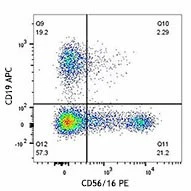 Veri-Cells™ Leukocytes - Image 2