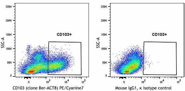 Veri-Cells™ PBMC (CD103, CD117) - Image 4