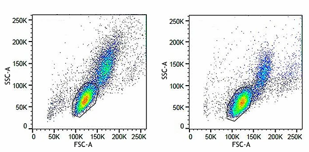Veri-Cells™ Phospho PBMC (MAPK/ERK Pathway) - Image 2
