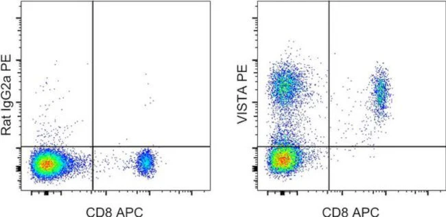 VISTA Monoclonal Antibody (MIH64), PE, eBioscience