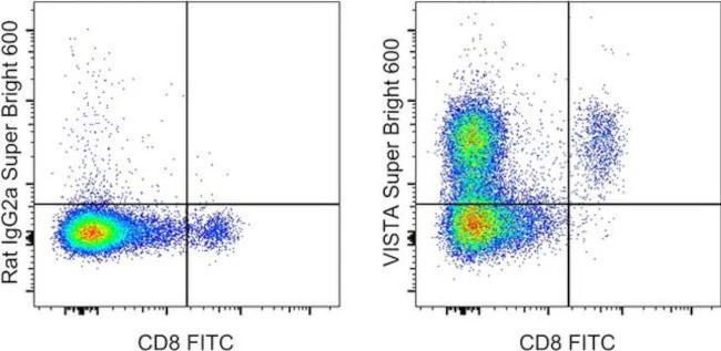 VISTA Monoclonal Antibody (MIH64), Super Bright 600, eBioscience