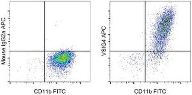 VSIG4 Monoclonal Antibody (JAV4), APC, eBioscience