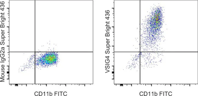 VSIG4 Monoclonal Antibody (JAV4), Super Bright 436, eBioscience