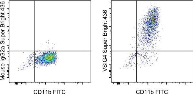 VSIG4 Monoclonal Antibody (JAV4), Super Bright™ 436, eBioscience™