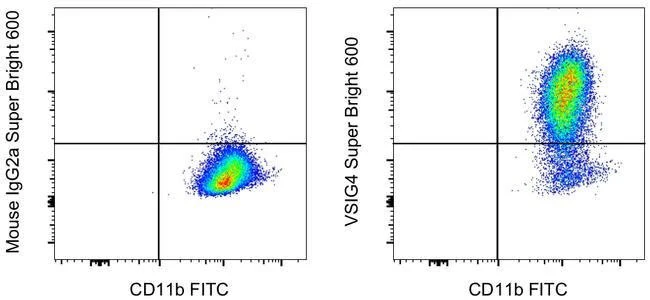 VSIG4 Monoclonal Antibody (JAV4), Super Bright™ 600, eBioscience™