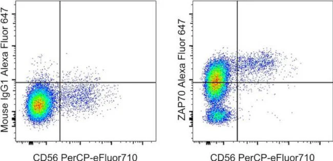 ZAP-70 Monoclonal Antibody (1E7.2), Alexa Fluor 647, eBioscience
