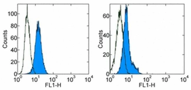 Zap-70 Monoclonal Antibody (1E7.2), FITC, eBioscience